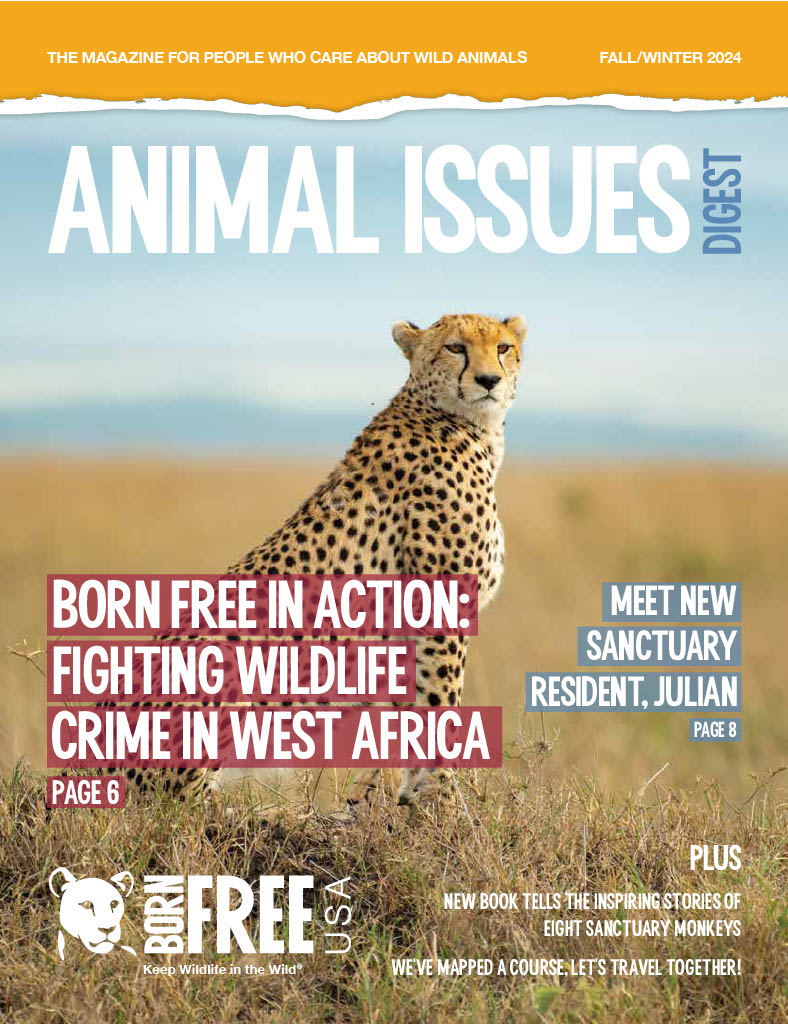 Animal Issues Digest Fall/Winter 2024