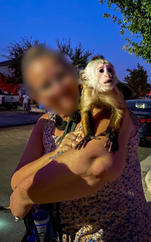 Woman holds a pet monkey on her shoulder.