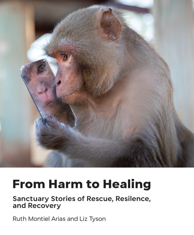 From Harm to Healing Book Cover