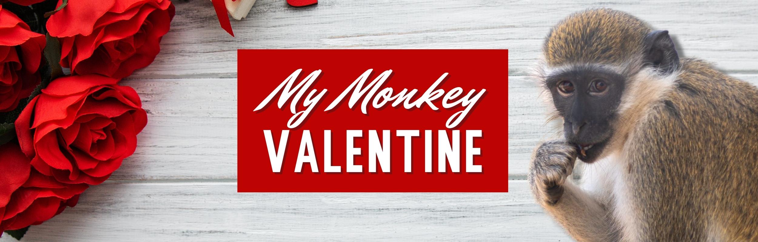 My Monkey Valentine