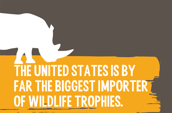 GRAPHIC The United States Plays a Major Role in Trophy Hunting